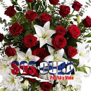 Meet your Posher, Mirtha julia